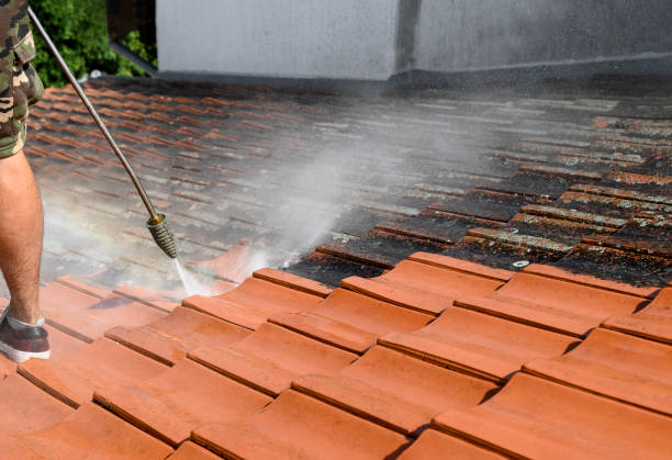 Why Choose Our Certified Pressure Washing Experts for Your Project Needs in Live Oak, FL?