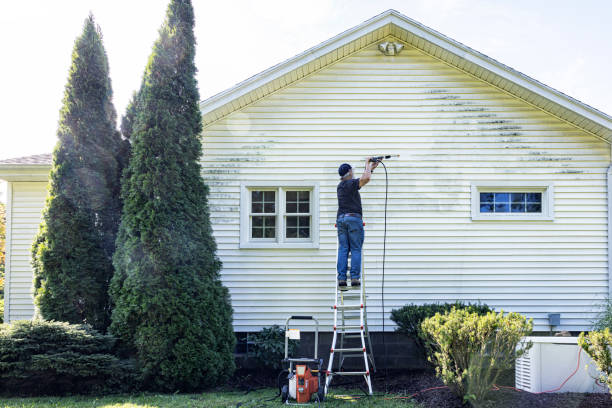 Best House Pressure Washing  in Live Oak, FL