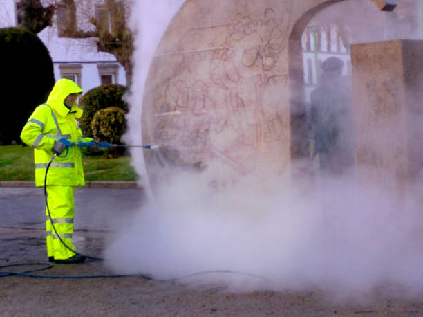 Best Local Pressure Washing Services  in Live Oak, FL