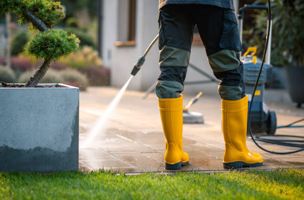 Best Deck Pressure Washing  in Live Oak, FL